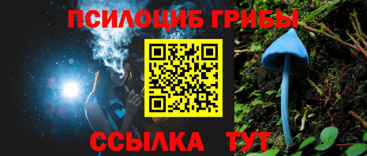 Полысаево  Псилоцибиновые грибы Magic Shrooms  Псилоцибиновые грибы мухоморы  Вход с VPN 
